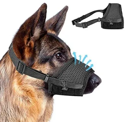 Produktbild von Famanu Maulkorb für kleine und mittelgroße Hunde - Verstellbar und atmungsaktiv