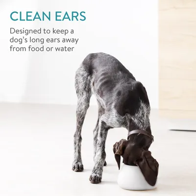 Produktbild von Navaris Design Futternapf aus Steingut - hoher Hundenapf - Fressnapf Futterschale - Napf für Cocker Spaniel Hund und langohrige Hunde - Langohrnapf