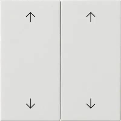 Immagine prodotto di Gira interruttore a bilanciere 2f con frecce, sistema 55, bianco puro 538703