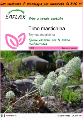 Immagine prodotto di SAFLAX Garden in the bag - Timo mastichina - 250 semi - Thymus