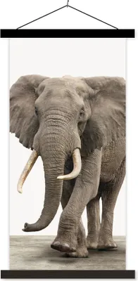 Produktbild von MuchoWow® Textilposter Elefant - Kinder - Tiere - Mädchen 60x120 cm mit schwarzem Rahmen - Magnete