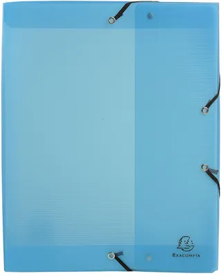 Produktbild von Exacompta 5987E Sammelbox Linicolor mit Gummizug 80 mm breit aus halb-transluzen