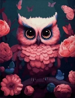 Produktbild von Malen nach Zahlen, 50X40 Cm, kreatives Bild, mit Rahmen, rosa Eule