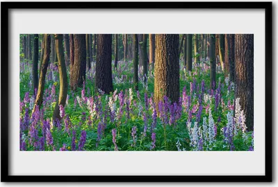 Produktbild von Bild 60x40 MDF-Rahmen Wandkunst Wald Blumen Natur