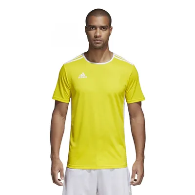 Obrázek produktu pro Pánský dres adidas ENTRADA 18 JSY 176 Yellow / White
