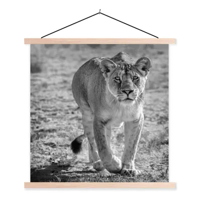 Produktbild von MuchoWow® Textilposter Löwe - Schwarz - Weiß 40x40 cm mit holzfarbenen Rahmen - Posterleiste