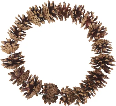 Produktbild von Tannenzapfen-Kranz, natur, Ø 25 cm
