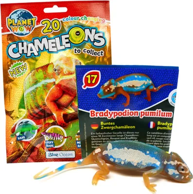 Produktbild von Blue Ocean Chamäleons Sammelfiguren 2024 - Planet Wow - Figur 17. Buntes Zwergchamäleon