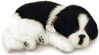 Produktbild von Perfect Petzzz - atmender Welpe - Border Collie