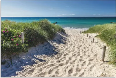Produktbild von ARTland Wandbild Alu für Innen & Outdoor Weg zum Strand an der Ostsee Größe: 30x20 cm