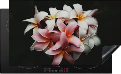Produktbild von KitchenYeah© Herdabdeckplatte Blumen - Rosa - Schwarz - Flora - Botanisch , 91x52cm, Küche Deko, Glaskeramikkochfeld Herdabdeckung, Abdeckplatte fùr Kochfeld