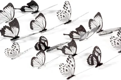 Produktbild von 72 Stück Schmetterlings-Wanddeko-Aufkleber, glitzernd, entfernbar, 3D-Wanddeko in Schwarz mit Klebepunkten, Schwarz/Weiß