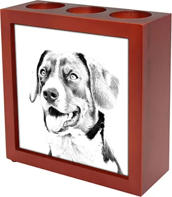 Productafbeelding van Art-Dog Pennenhouder – Appenzeller sennenhond