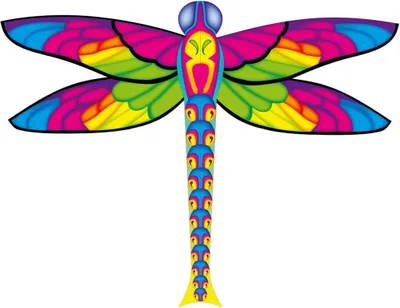 Produktbild von Kinderdrachen HQ Dragonfly Kite 102196 Regenbogen 100 x 76 cm
