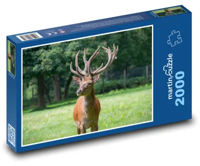 Obrázek produktu pro martinpuzzle - Puzzle 2000 - Jelen - zvíře, savec