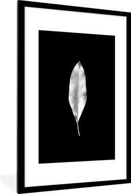 Produktbild von MuchoWow® Gerahmtes Poster Längliches Blatt auf schwarzem Hintergrund - schwarz und weiß 60x90 cm - Poster mit Schwarzem Bilderrahmen Wandposter Rahmen Foto Bilder - Dekoration - Wandposter Wohnzimmer - Hochwertig