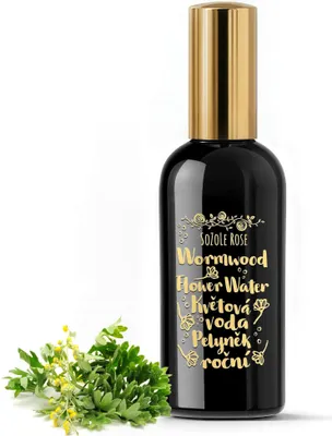 Produktbild von Pflanzenwasser aus Artemisia annua (Wermutkraut) im Sprühflakon – 100 ml