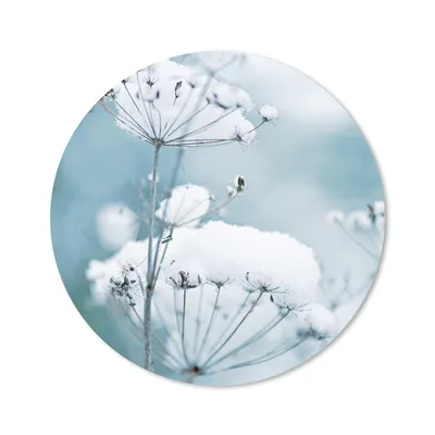 Produktbild von MuchoWow® Mauspad Mousepad Schnee - Blumen - Winter - Zweige 50x50 cm - Mousepads - Maus Mat - Pad - Mausunterlage - Vinyl