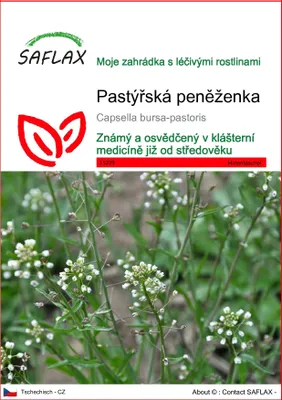 Obrázek produktu pro SAFLAX - pastýřská peněženka - Capsella bursa-pastoris - 1000 Semena