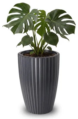 Productafbeelding van Grote, zwarte bloempot voor buiten, model ZENTO, afmetingen 39 x 58 cm