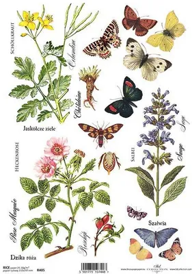 Immagine prodotto di ITD carta di riso per decoupage, erbe, fiori, farfalle R0405