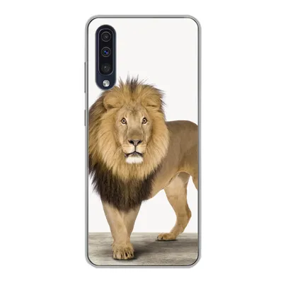 Produktbild von MuchoWow® Handyhülle Schutzhülle Hülle für Samsung Galaxy A30s Jungen - Löwe - Tiere - Kinder - Mädchen Silikon Softcase Handy Hülle - Karteninhaber