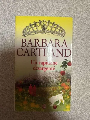 Image de Un capitaine désargenté