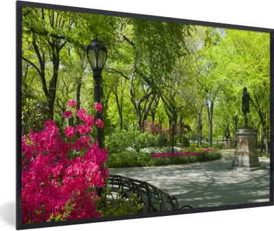 Produktbild von MuchoWow® Gerahmtes Poster New York - Central Park - Pflanzen 90x60 cm - Poster mit Schwarzem Bilderrahmen Wandposter Rahmen Foto Bilder - Fotorahmen - Foto-Plakat