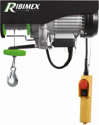 Image de Palan électrique 480w noir - Ribimex - PE100/200PT -