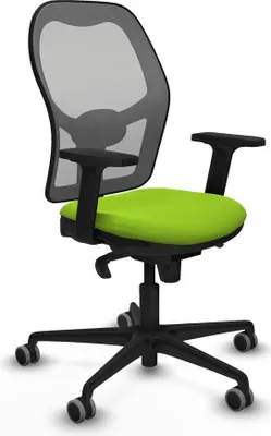 Image de Gaming-Stuhl Piqueras y Crespo 2D036G0 Pistazienfarben