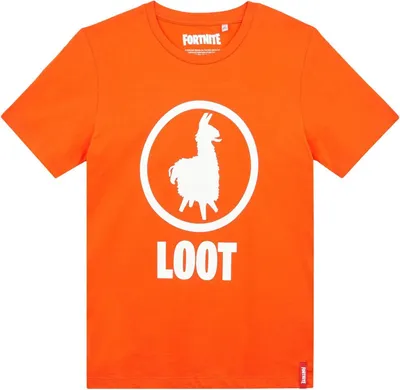 Obrázek produktu pro Fortnite – tričko „Universitoon“ pro děti CD264 (176) (oranžové)