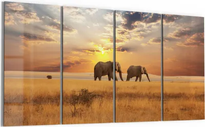 Produktbild von DEQORI Glasbild Echtglas 4x30x60 cm 'Elefanten in der Steppe' Wandbilder XXL groß