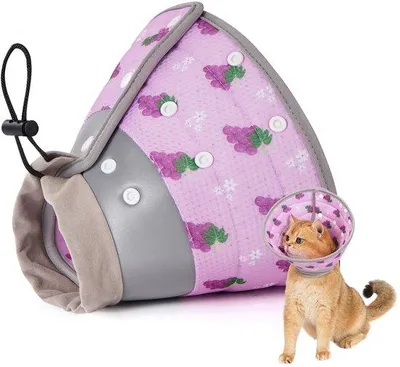 Obrázek produktu pro Gentle Adjustable Collar – nastavitelný skládací rehabilitační obojek – pro malé psy a koťata