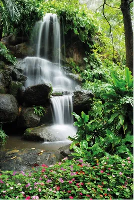 Produktbild von Wallario Poster - Sturzbach im Grünen, Kunstdruck Größe: 61 x 91,50 cm