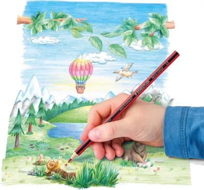 Zdjęcie produktu dla Staedtler Noris kolor 185 czarny, niebieski, brązowy, zielony, jasnoniebieski, jasnozielony, magenta, pomarańczowy, brzoskwiniowy, czerwony, fioletowy, żółty 12 szt