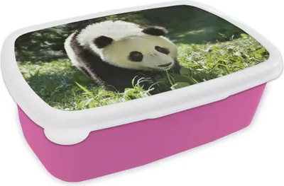 Produktbild von KitchenYeah® Lunchbox Brotzeit Brotdose 17x11 cm Panda - Gras - Tier Kinder Brotzeitdose - Lunchpaket - Brotkasten  - Sandwich Box