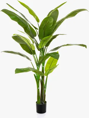 Produktbild von artplants.de Heliconia künstlich VESA, 170 cm - Künstliche Tropische Pflanze
