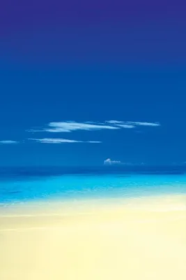 Image de Barbuda Beach - Plage - 61x91cm - Affiche Poster