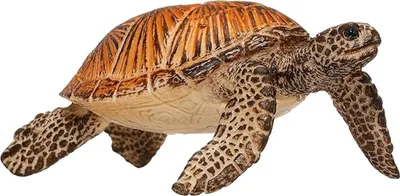 Produktbild von Schleich 14695 - Meeresschildkröte