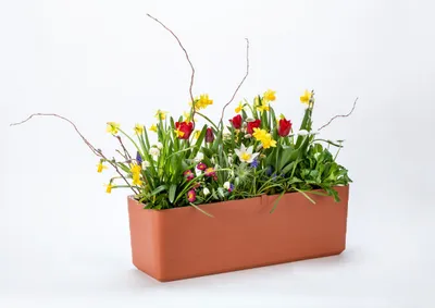 Obrázek produktu pro PLASTIA s.r.o. Samozavlažovací truhlík Berberis terakota + béžová, 40 cm
