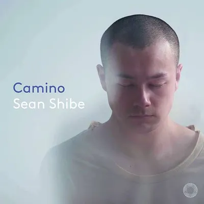 Imagen del producto de Camino