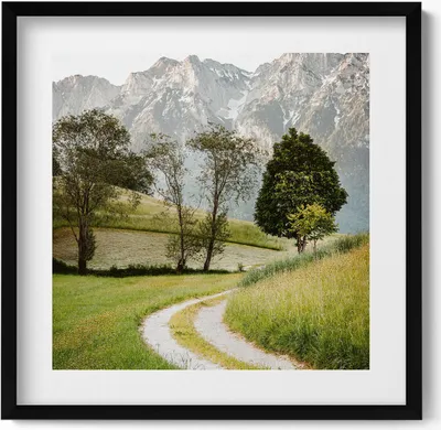 Produktbild von Felddogge in den Bergen– Wandbild mit Rahmen – Gerahmtes Bild  – Wanddekoration – 50x50 cm –  Schwarz Rahmen