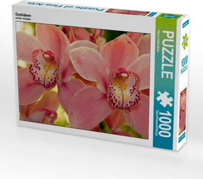Produktbild von Calvendo Orchideen 1000 Teile Puzzle quer 640x480mm, Lielischkies Klaus; 7276825