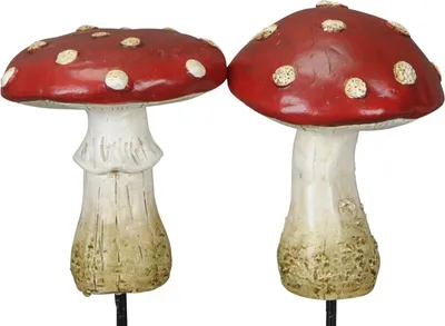 Produktbild von Pilz Polyresin Fliegenpilz 2fach sort. stehend Wald rot/weiß Ø8cm H10cm
