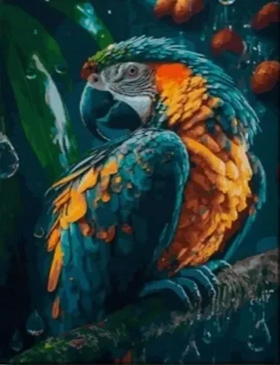 Produktbild von "Malen nach Zahlen: Papagei auf einem Ast, 50x40 cm, mit Rahmen. Kreatives Bild."