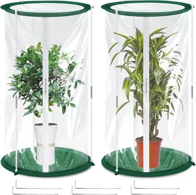 Produktbild von Mini Gewächshaus 50 x 30 cm, 2 Stück, PVC, transparent, für Pflanzen