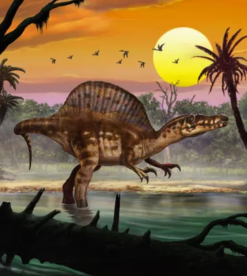 Produktbild von Komar Fototapete Spinosaurus Multicolor - 610810 - 250 x 280 cm