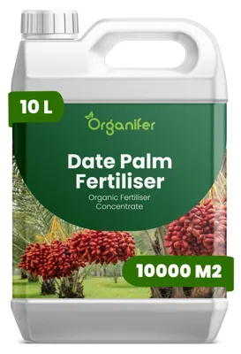 Obrázok produktu pre Tekuté hnojivo pre datlové palmy, 10 litrov, vzorec NPK 2-1-8 – Pre palmy – Pre zdravé listy a silný rast – Podporuje korene a vitalitu – Organický produkt