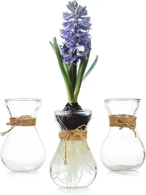 Image de Solidchoice - Ensemble de 3 vases transparents pour la décoration de table