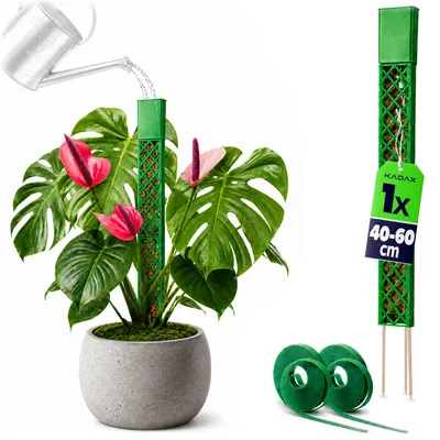 Produktbild von KADAX Moosstab 0 cm für Kletterpflanzen, Pflanzenstab zum Befüllen mit Sphagnum, Pflanzenstütze aus Kunststoff, Kletterhilfe für Monstera, Rankstab